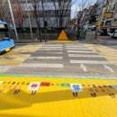 옐로카펫 이미지