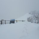 달콤농장 이미지