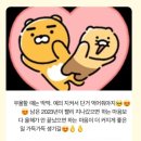 메이숑 이미지