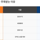 비앤아이(B&I) 티스토리