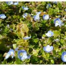 산천토담집 이미지