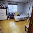 연안초등학교 이미지