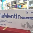 전남제일약국 이미지