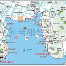순천만 숲1 이미지