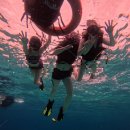 (주)몬스터랩스 | 즐거운 보홀여행기