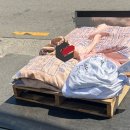 덕문고등학교 이미지