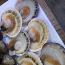 무한조개따조 이미지