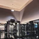 Back Gym(백짐) 이미지