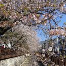 하이뽕진해광화점