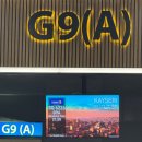 세편들3 | 터키] 이스탄불공항에서 카이세리 공항 자가환승 방법 및 성공후기(대한항공-터키항공/러닝 시작한 이유)