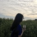 썬셋빌