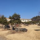 보성국민학교카페 이미지