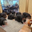 전주 삼성장례문화원 아버님 장례준비 3일 장례120만원 장례후기