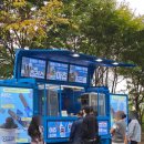 수봉 | 2025 수봉공원 수봉산 페스티벌 직접 다녀온 후기!행사부스 푸드트럭 주차정보