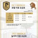 펫브릿지 이미지