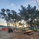 덕산 힐링하우스 | 삼척파티게스트하우스 / 삼척 바다 게스트하우스 / 감성포장마차파티 고캠프홈 삼척점