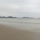 첫구지해수욕장 Daum카페