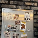 카토카츠