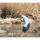 청도천6 이미지