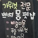 쁘띠몽 | 부산 수영구 망미동 애견미용 쁘띠몽펫샵 알머리컷 후기(요다맨)쁘띠몽펫샵(로고송)cm송