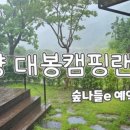 대봉사슴 이미지