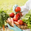 무상엠에스마트 이미지