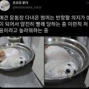 어썸멍스쿨 이미지