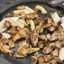 11500-12-25-04 | 25년 12월의 기록