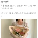 일로브 이미지