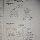 위계 개수 질문 이미지