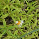 동해~애 이미지