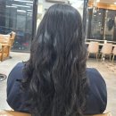 카카몽 애견미용실 | 북수원미용실에서 특별한 케어, 아늑하게 머물고 싶은 공간