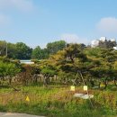 소림농장 이미지