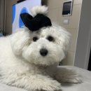 서울투어[with 아기공주님]