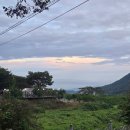 진북편백골관광농원캠핑장 | 부산 근교 경남캠핑장 창원 마산 진북 편백골 관광농원 캠핑장 소개 및 사이트 추천:놀이터2