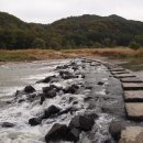 월평공원 습지길 이미지