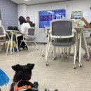 [9월 재능나눔] 강아지 보호자 교육 | [까만개 일상] 대구남구 반려견순찰대 / 9월 운영회의 / 아로마미스트 만들기