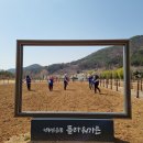 플라워가든 이미지