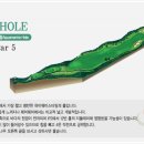 송라제니스컨트리클럽 Daum카페