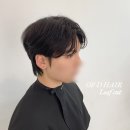 오브디헤어 이미지