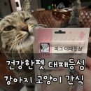 건강한펫 네이버블로그