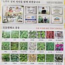 고향야채 이미지