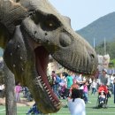 엑스포주차장 네이버블로그