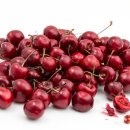 MS복싱아카데미 이미지