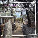 부산 혼자 가볼만한 곳 영도 75광장 절영해안산책로 코스