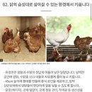 도시락이야기 이미지