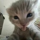 정원카페 이미지