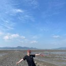 봄여름가을겨울펜션민박 | 대천여행 군헌갯벌체험학습장/봄여름가을겨울펜션/섬과섬사이