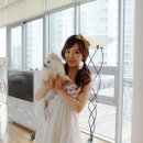 강아지 별장 이미지