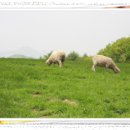 지영목장 이미지